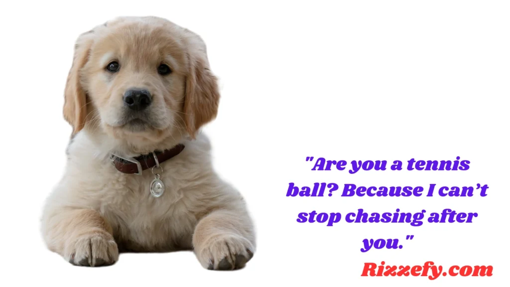 Cute Dog Pickup Lines