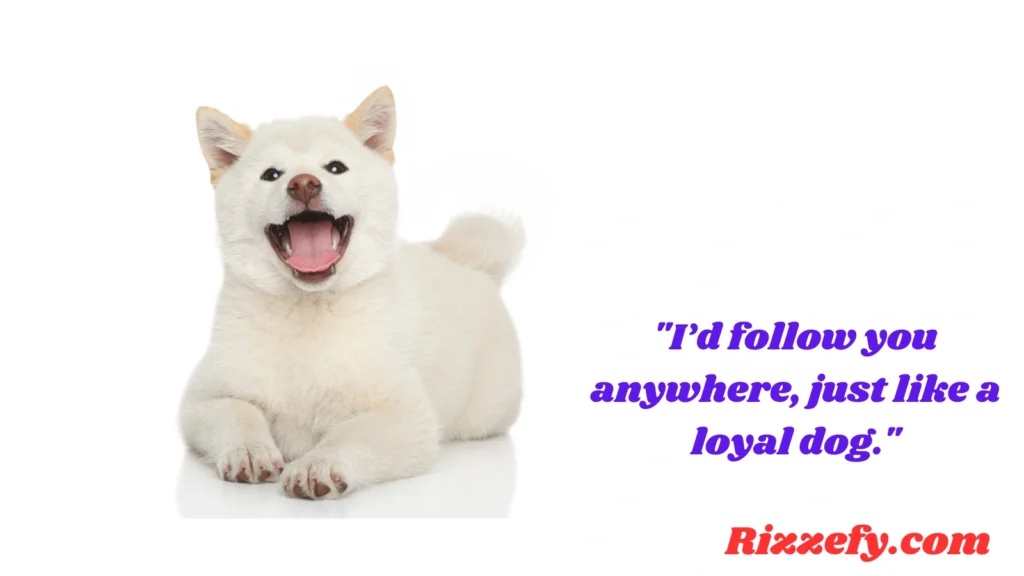 Playful Dog Pickup Lines
