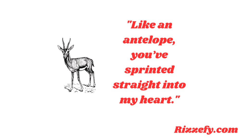 Antelope Pickup Lines