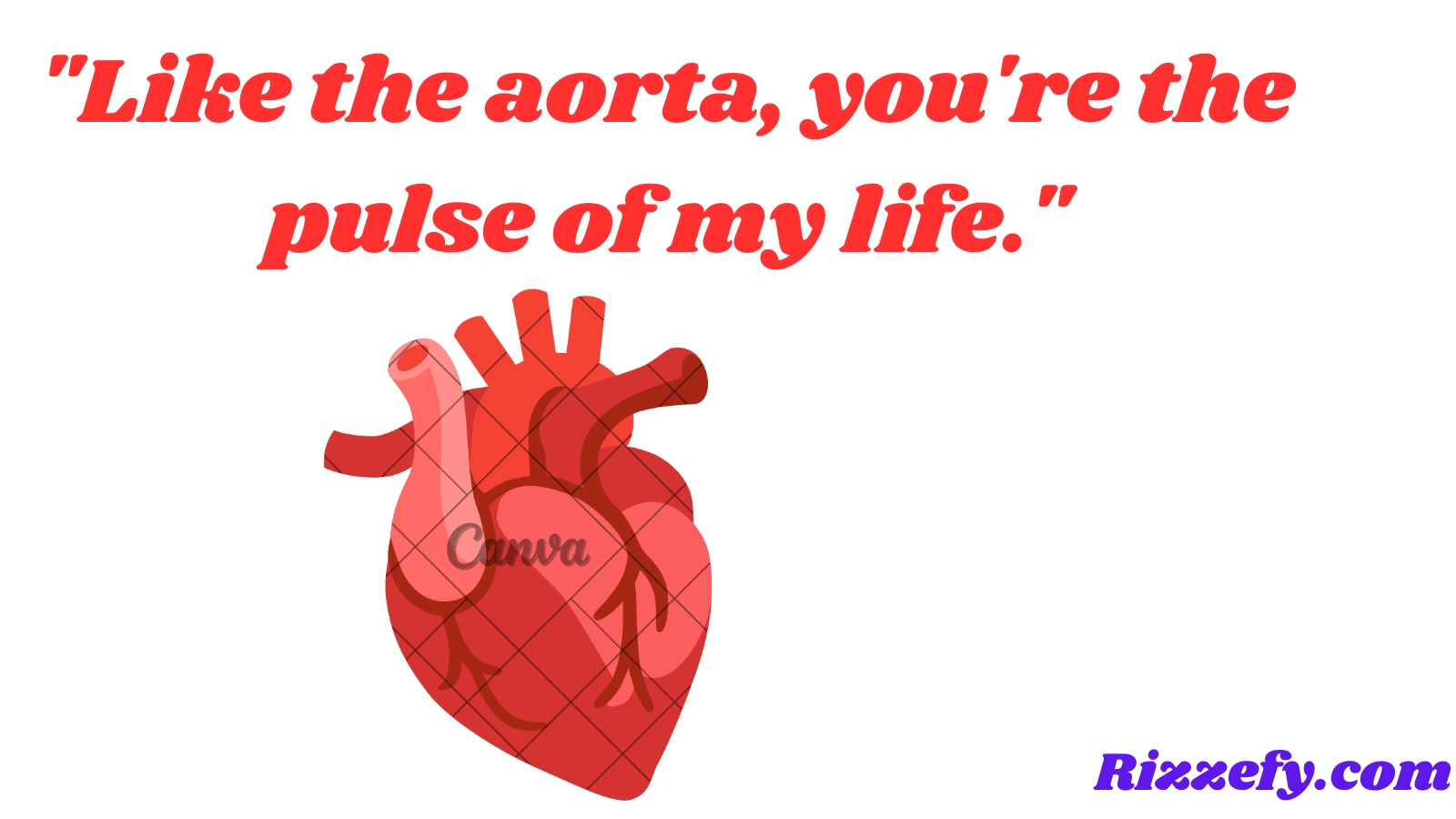 Aorta Pickup Lines
