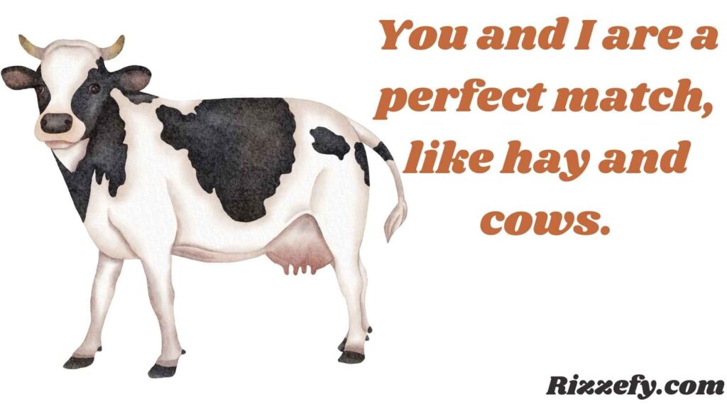 Cow Pickup Lines