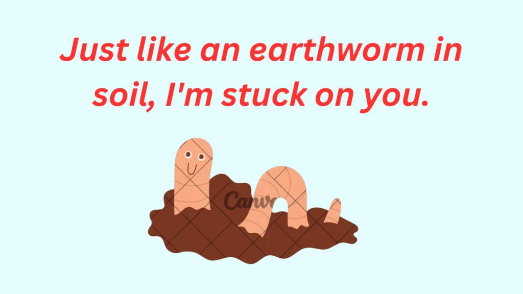 Earthworm Pickup Lines