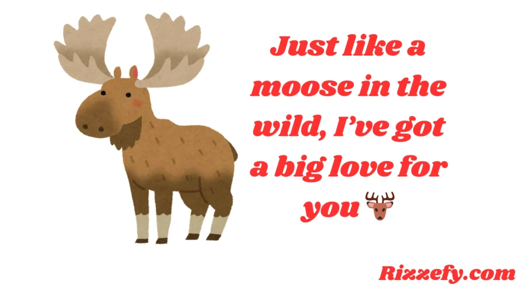 Moose Pickup Lines