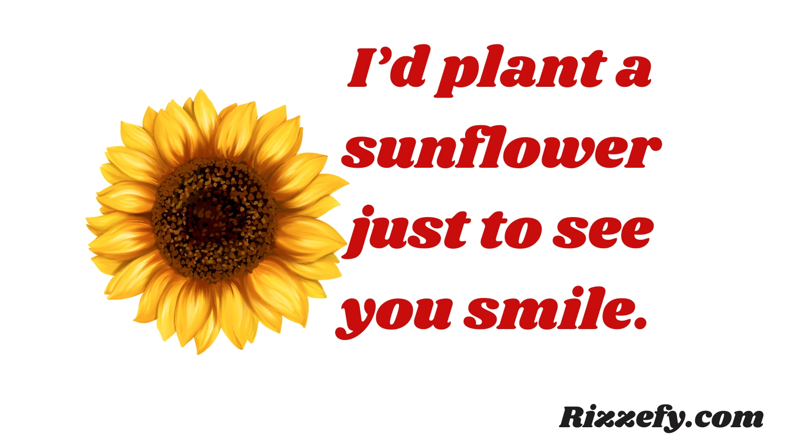 Sunflower Pickup Lines