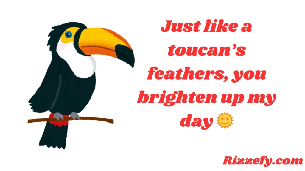 Toucan Pickup Lines